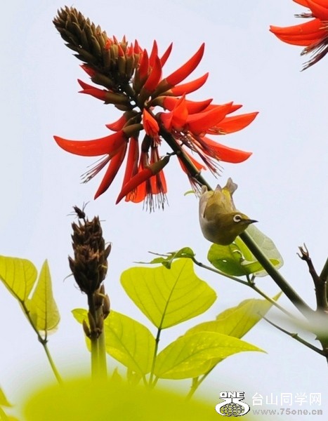 Ƭ 07511.jpg