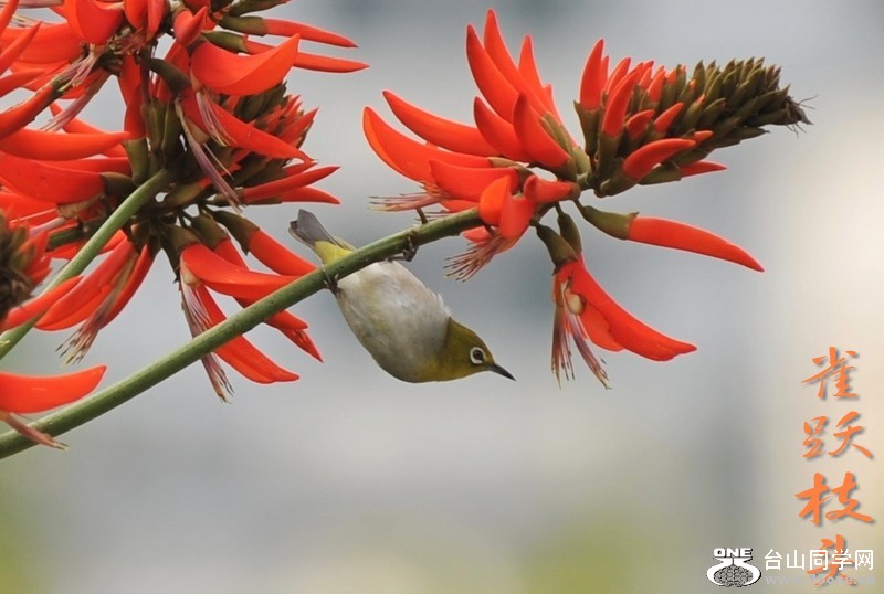 ��Ƭ 57611_conew1.jpg