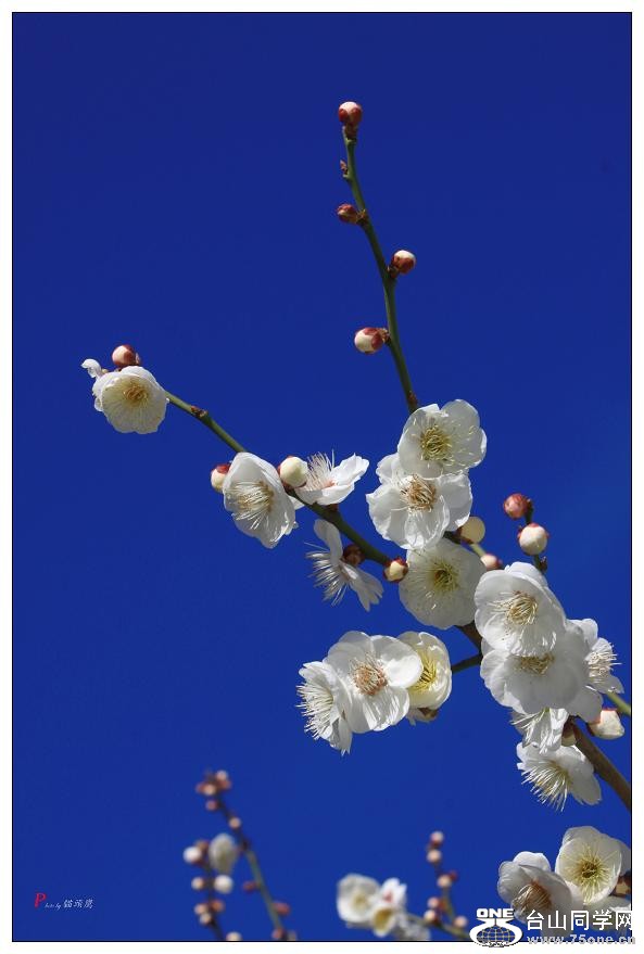 }u -÷2012-2 374-a.jpg