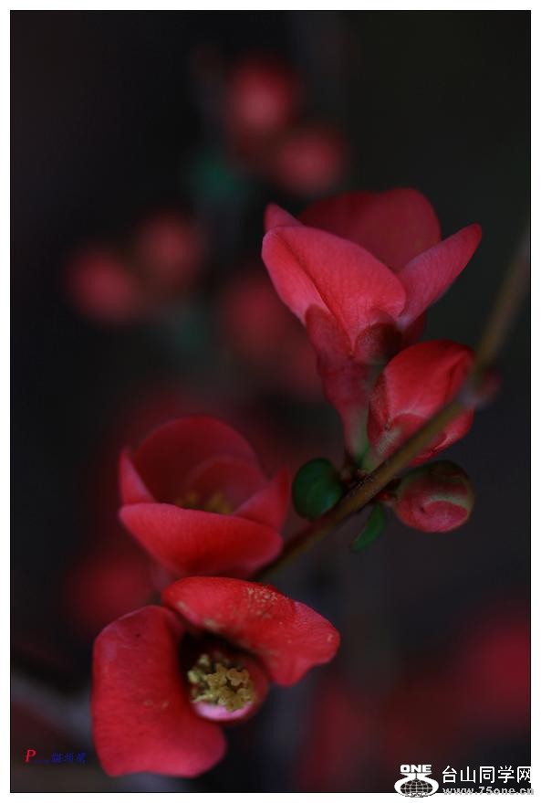 }u -÷2012-2 072-c.jpg