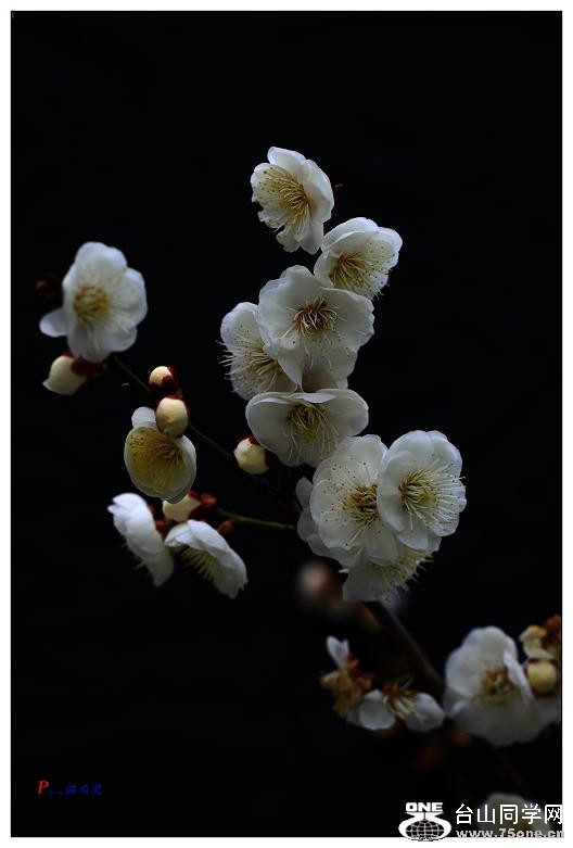 }u -÷2012-2 017-a-1.jpg