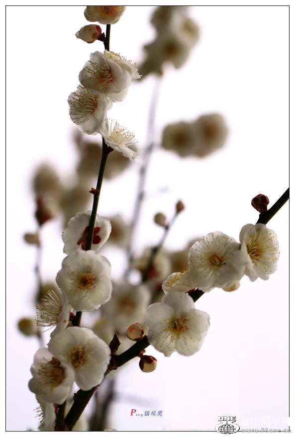 }u -2012-2 003-v-1-ss.jpg