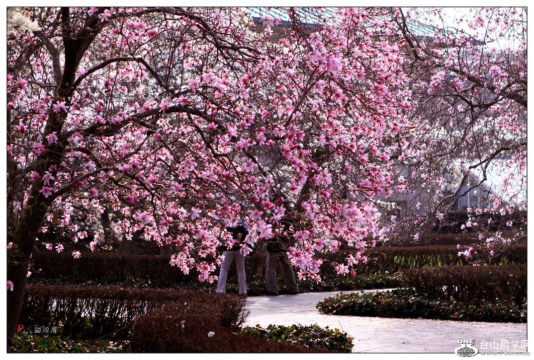 }u -ձ@12-1 090-a.jpg