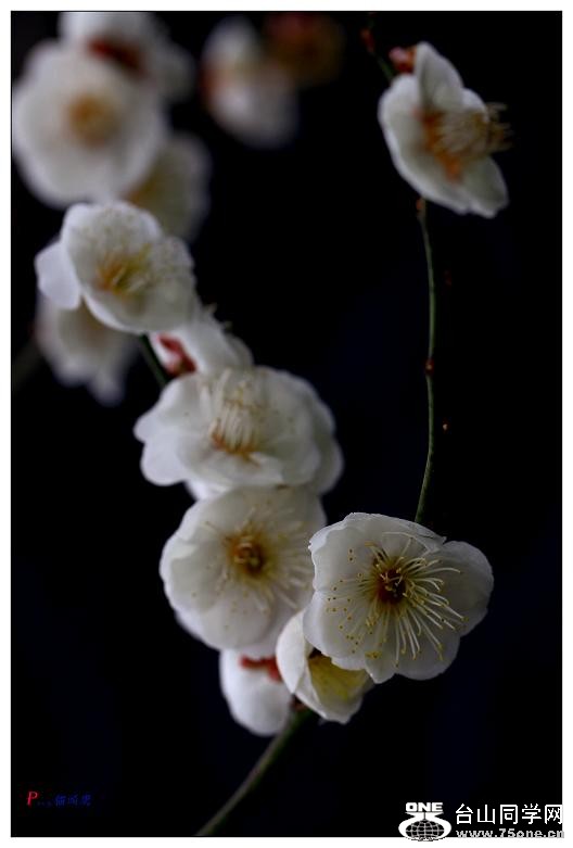 }u -÷2012-2 140-a.jpg