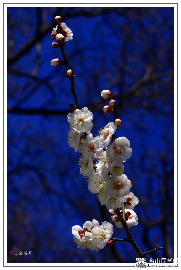 }u -÷2012-2 330-a.jpg