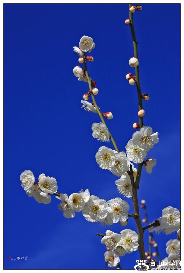 }u -}u -÷2012-2 341-c-1.jpg