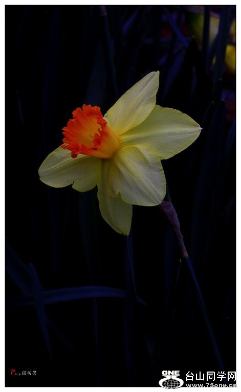 }u -ձ@12-1 745-1.jpg