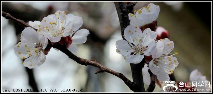 ������С IMG_2585.JPG