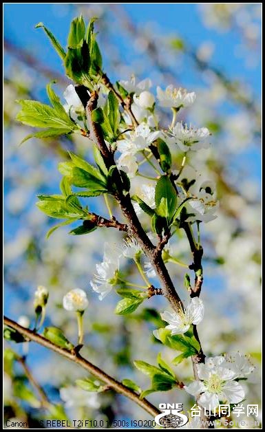 ������С IMG_2578.JPG