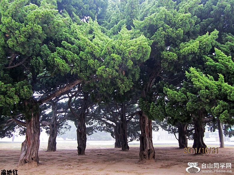 ɽ�������� 846_conew2.jpg