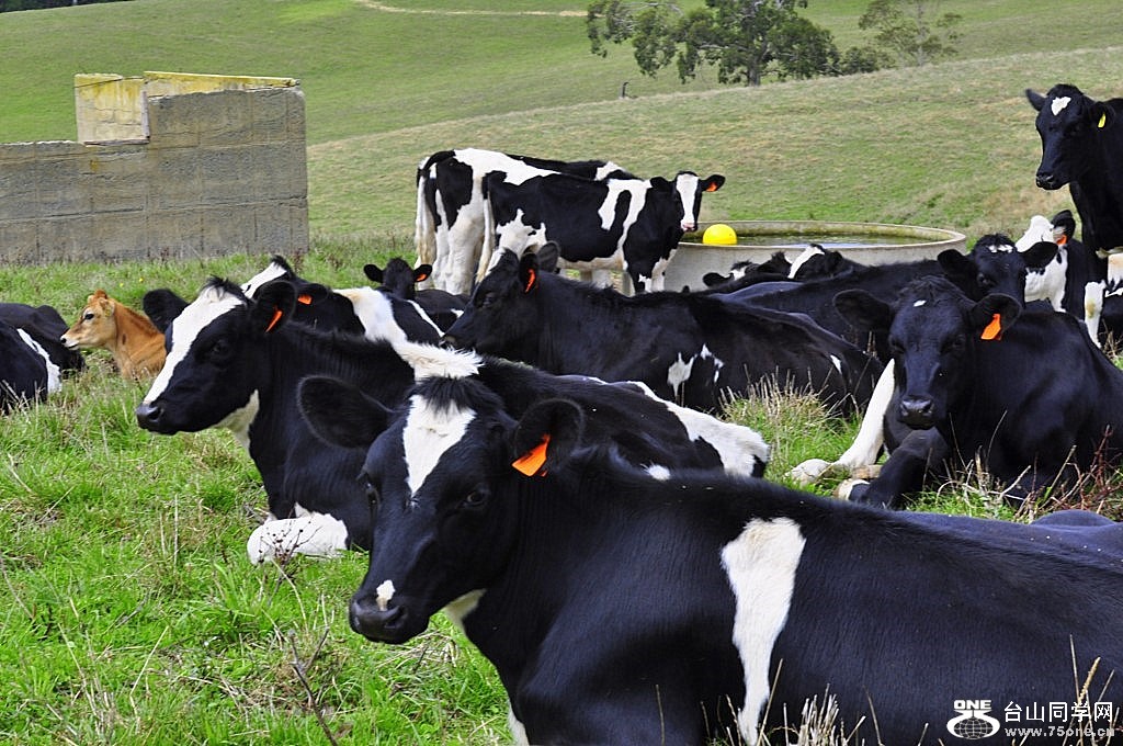 _DSC0436 [1024x768].JPG