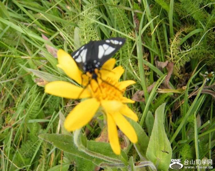 DSCF1582.JPG