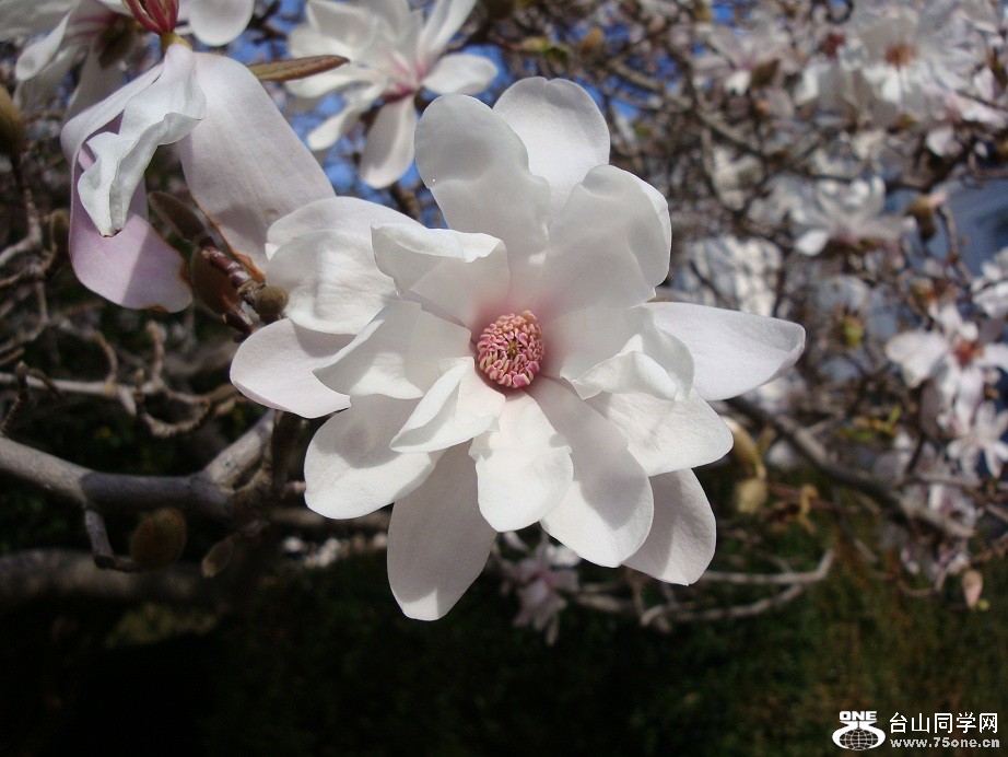 DSC08371.JPG