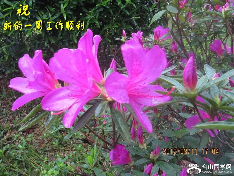 IMG_0752_conew1.jpg