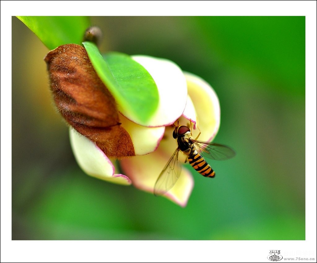 nEO_IMG_DSC_0048_conew1.jpg