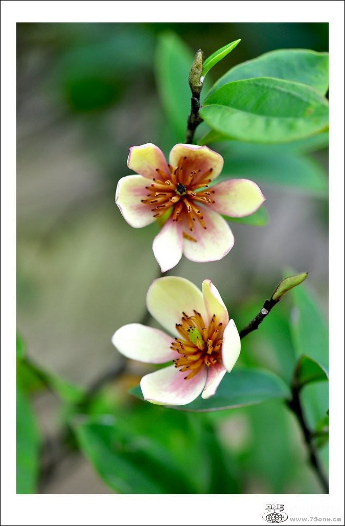 nEO_IMG_DSC_0117_conew1.jpg