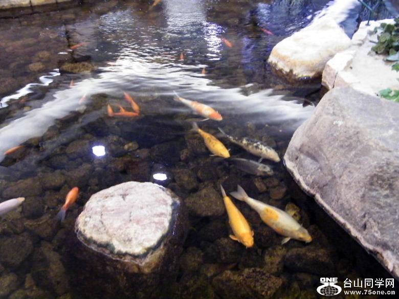 DSCF2028.JPG