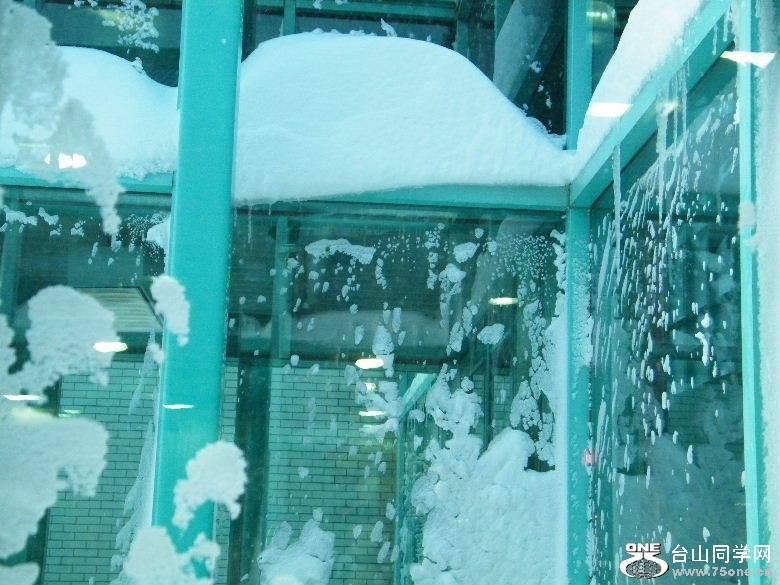 DSCF1466.JPG