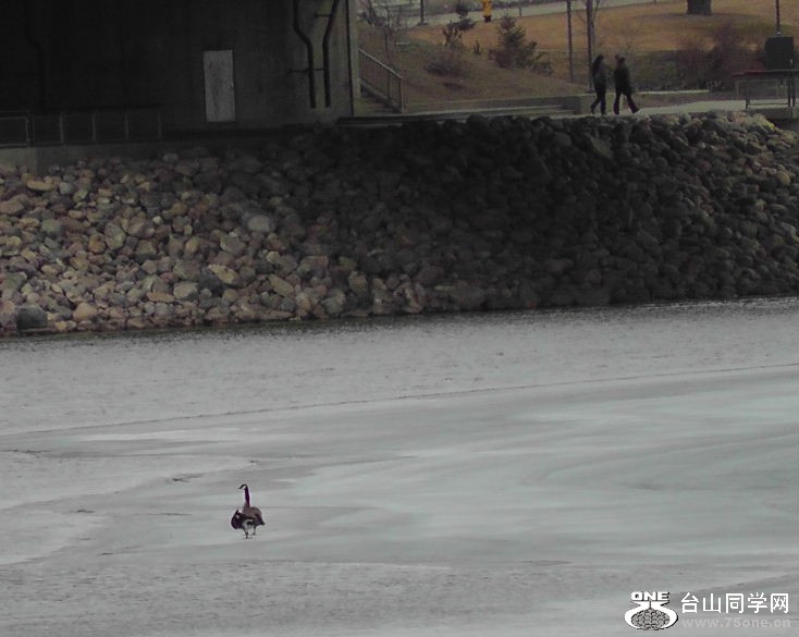 2012_031710112.JPG