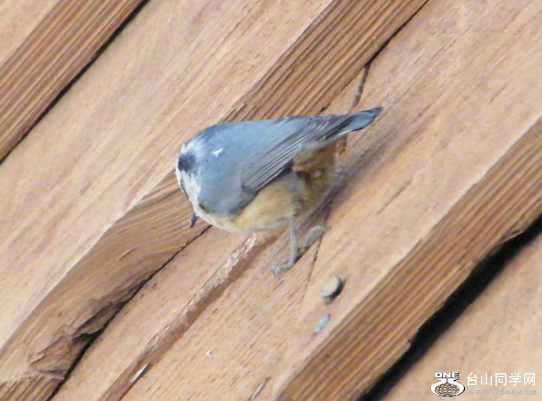 DSCF2930.JPG