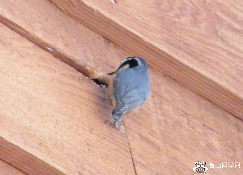 DSCF2905.JPG