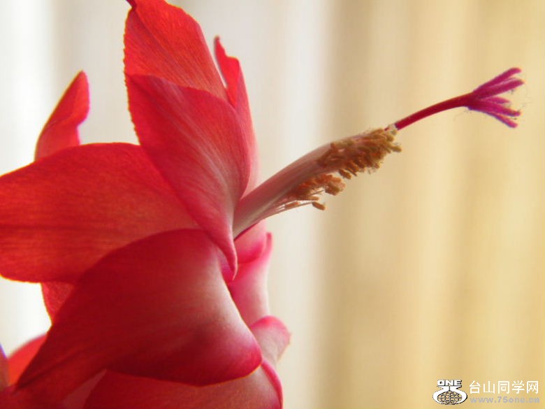 DSCF2151.JPG