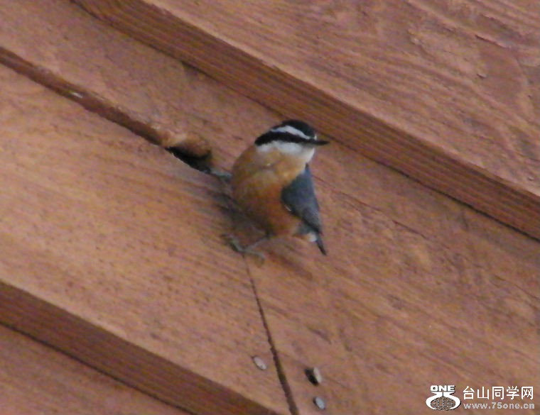 DSCF2915.JPG
