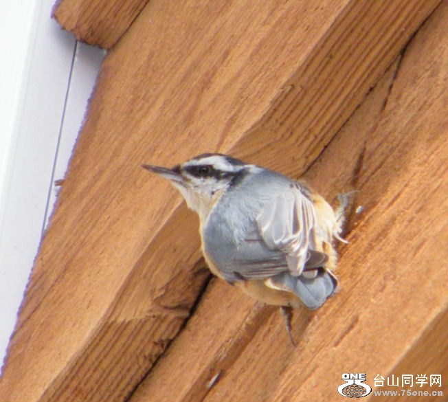 DSCF2883.jpg
