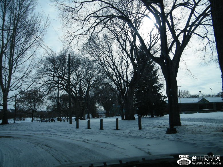 DSCF2451.JPG