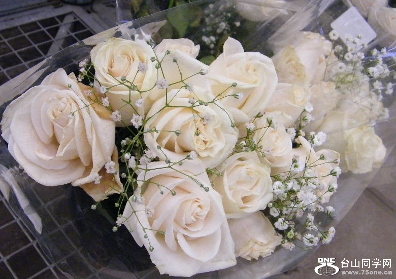 DSCF2363.JPG