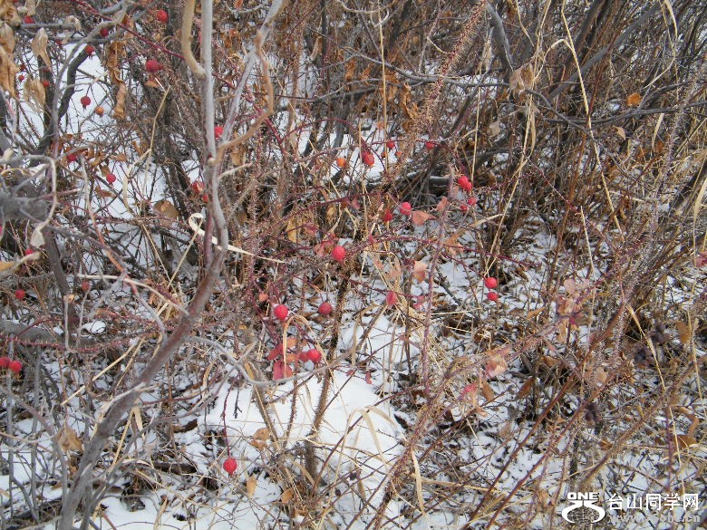 DSCF2414.JPG