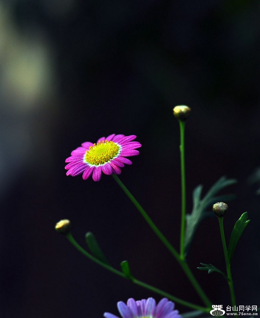 nEO_IMG_DSC_0901.jpg
