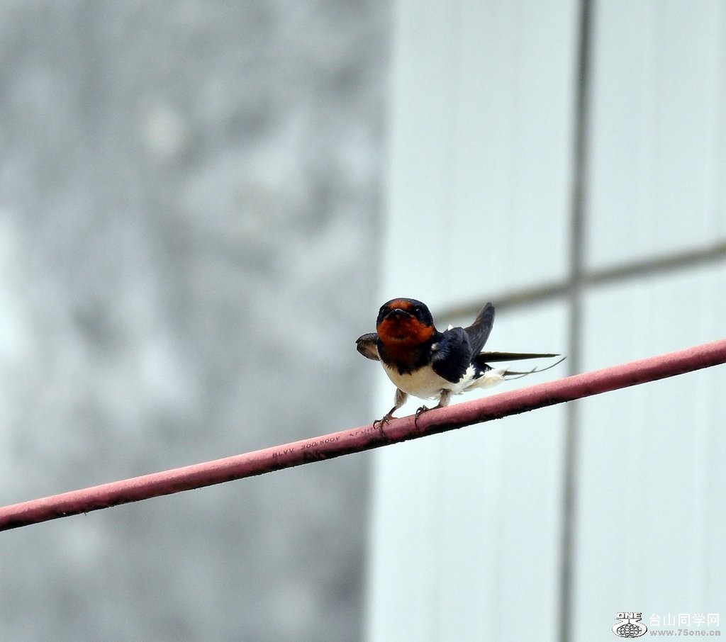 DSC_0370.JPG