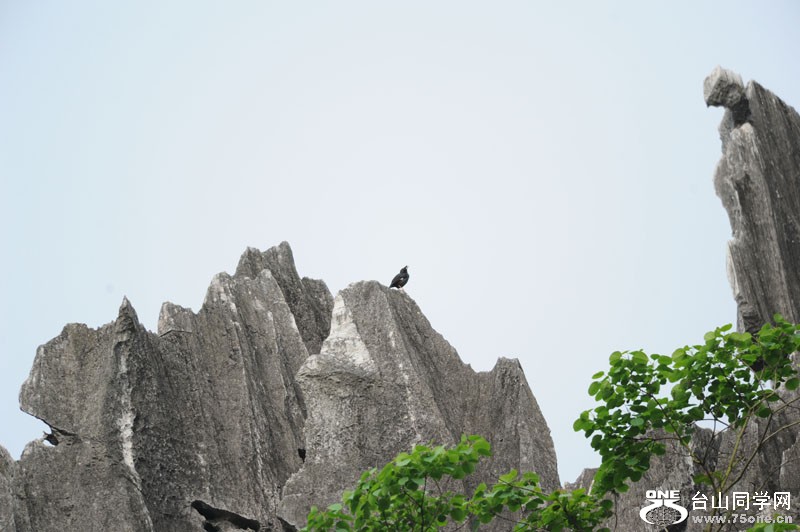 Ƽ 019.jpg