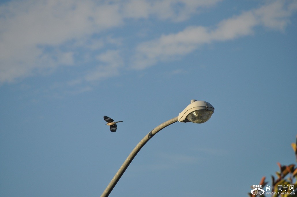 DSC_0086.JPG