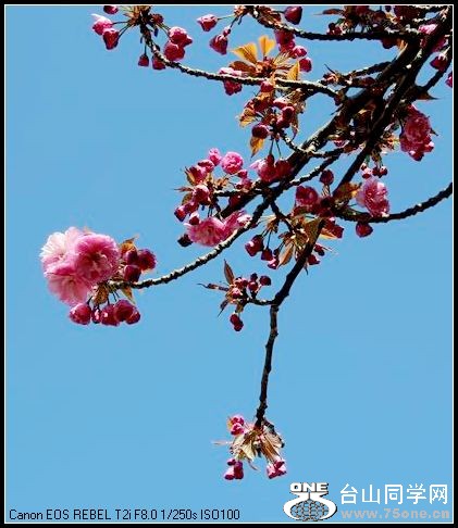 С IMG_3072.JPG