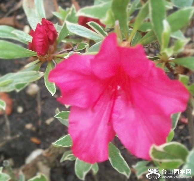 100_1425.JPG