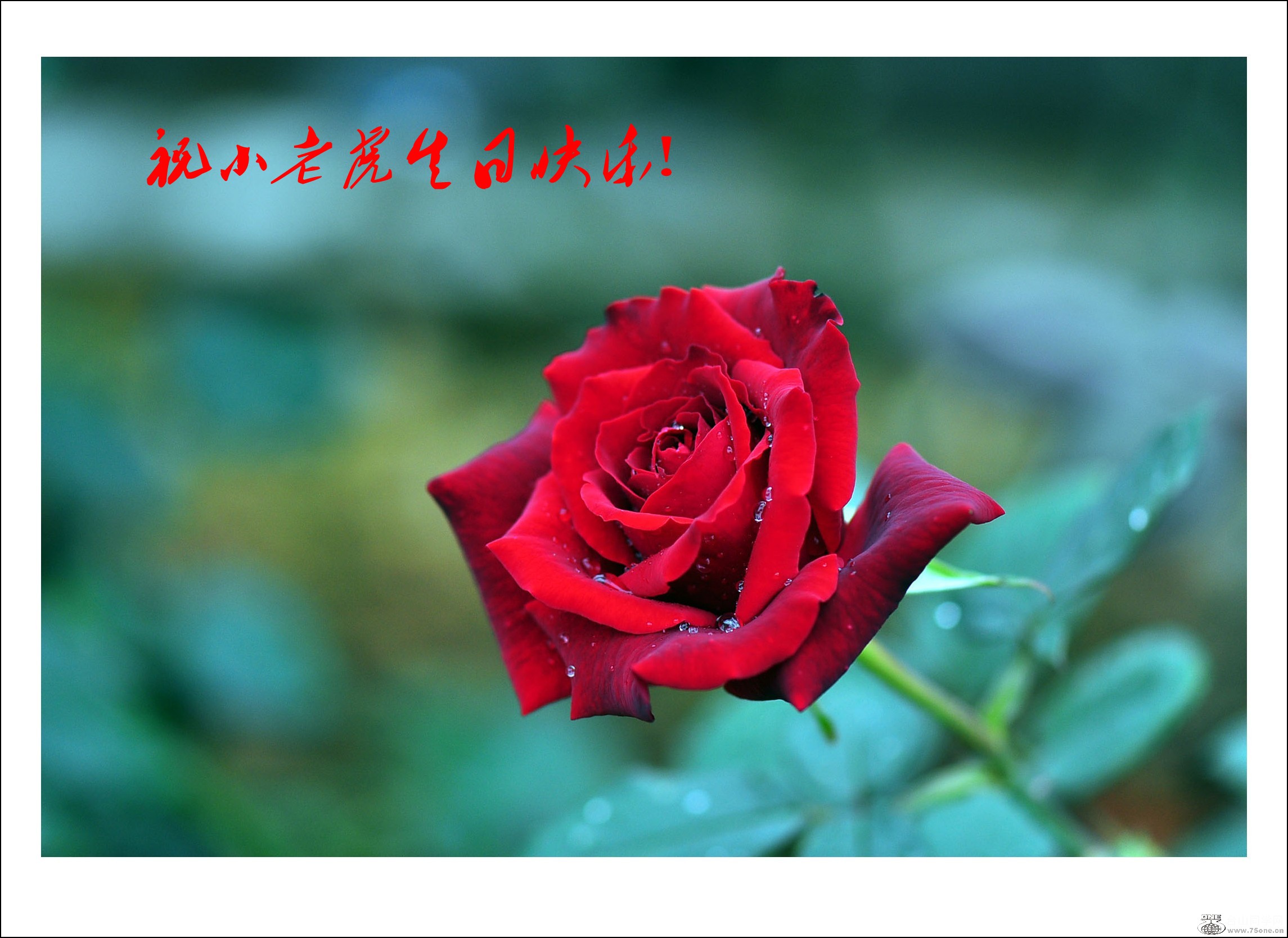 DSC_0058_conew1_.jpg