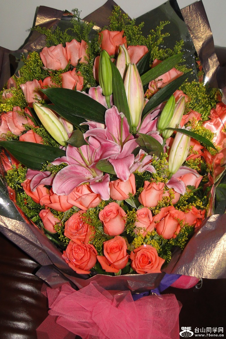 DSC06756_conew1.jpg