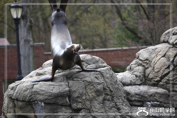_MG_5146_.jpg