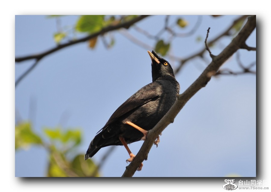 ��Ƭ 21320791111.jpg