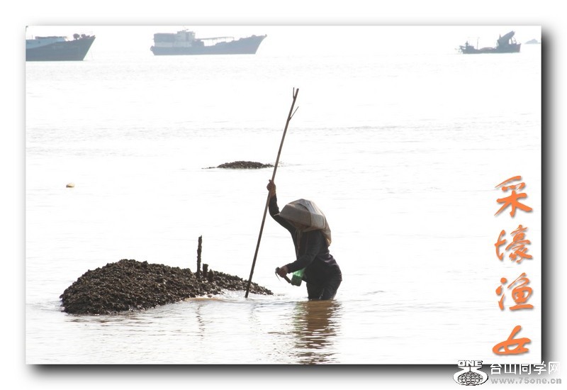 ��Ƭ 10311_conew1.jpg