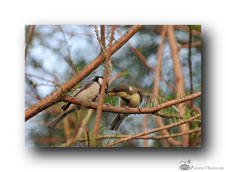 ��Ƭ 5796665231.jpg