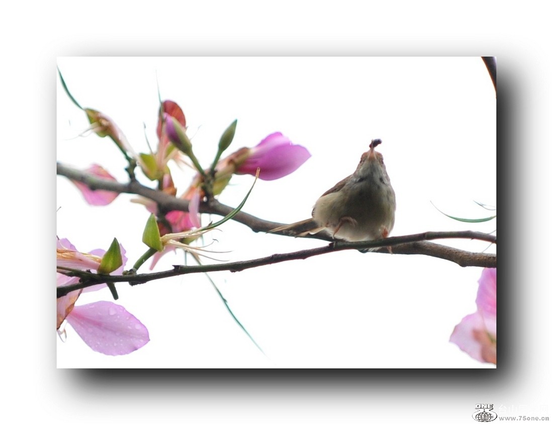 ��Ƭ 579663011.jpg