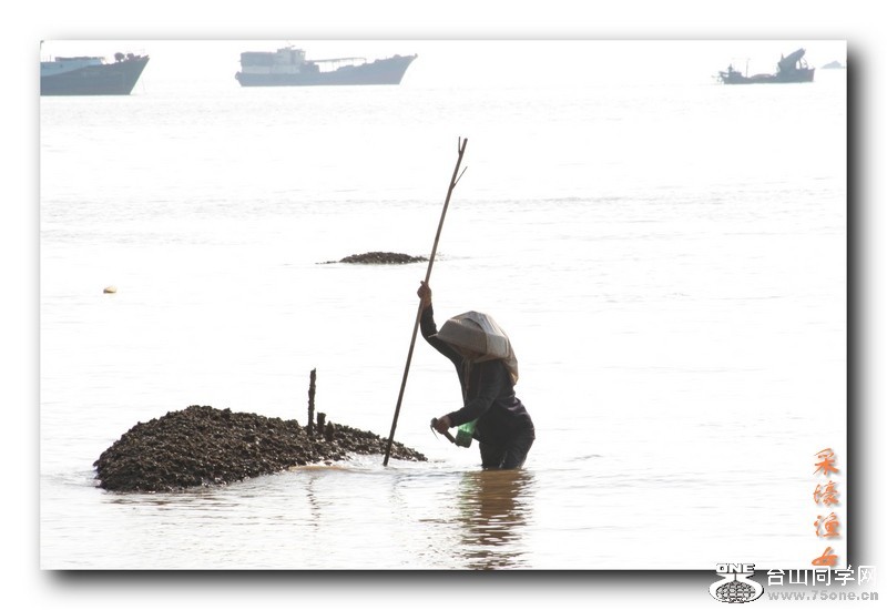 ��Ƭ 10311_conew2.jpg