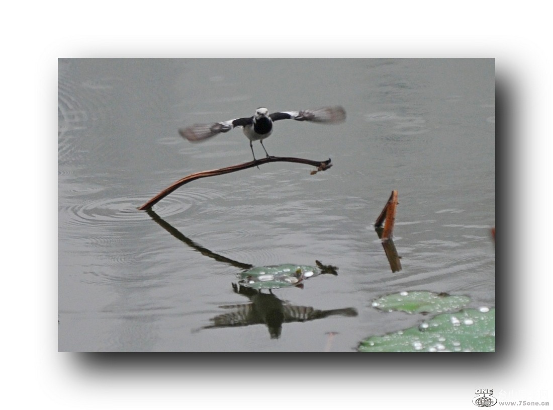 ��Ƭ 57966571.jpg