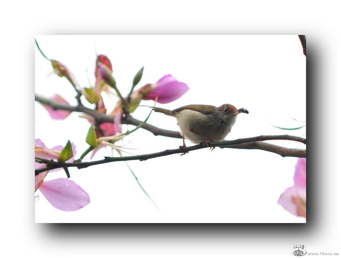 ��Ƭ 579662911.jpg