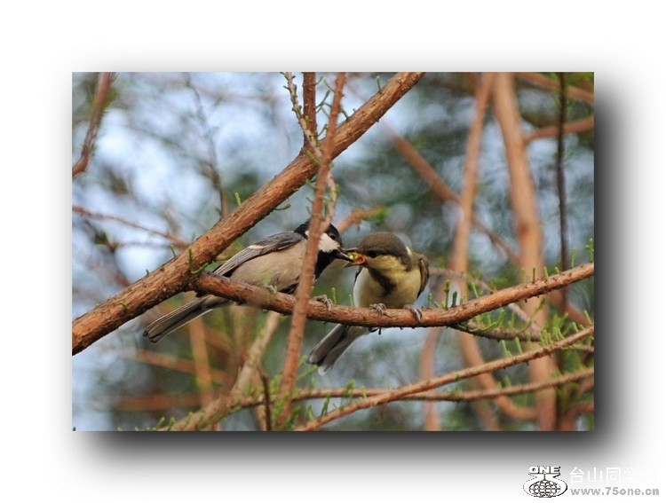 ��Ƭ 5796665221.jpg