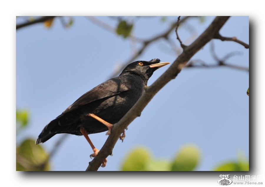 ��Ƭ 21320791081.jpg