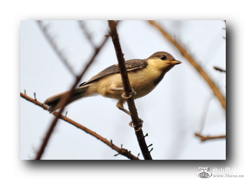 ��Ƭ 5796665381.jpg